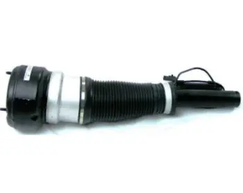 Air Suspension Strut (124AS2540R)