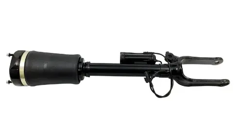 Air Suspension Strut (125AS2450X)