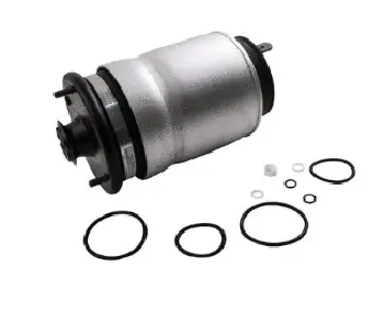 Air Spring, suspension (12500A2534)