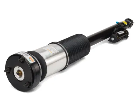 Air Suspension Strut (1160AS2821)