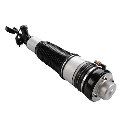 Air Suspension Strut (125AS2743N)