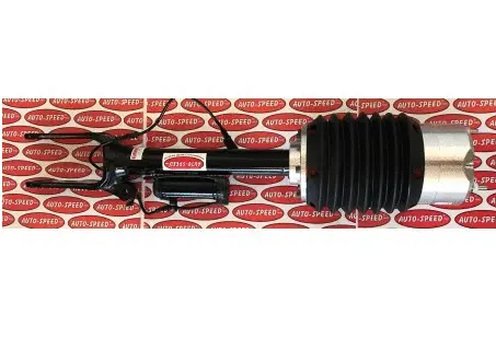 Air Suspension Strut (185AS2450X)