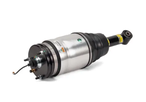 Air Suspension Strut (1160AS2762)