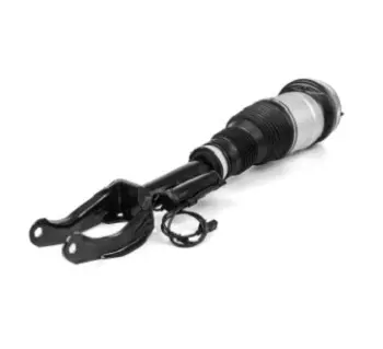 Air Suspension Strut (125AS3061N)