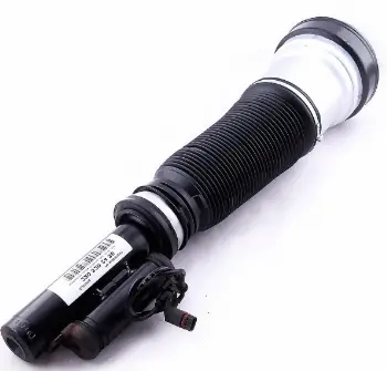 Air Suspension Strut (125AS2193R)
