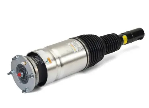 Air Suspension Strut (1160AS3204)