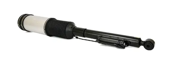 Air Suspension Strut (125AS2194R)