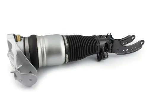 Air Suspension Strut (125AS2571R)
