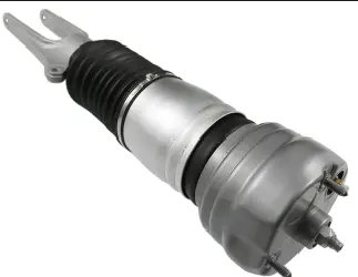 Air Suspension Strut (125AS8201R)