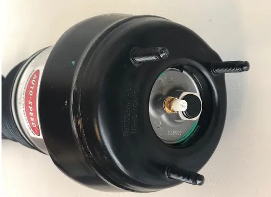 Air Suspension Strut (176AS3061V)