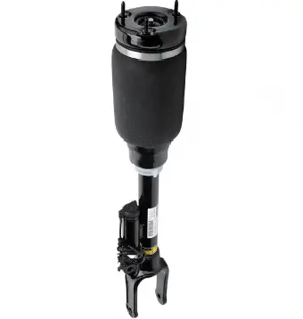 Air Suspension Strut (125AS2394X)