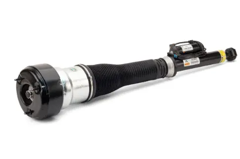 Air Suspension Strut (1160AS2604)