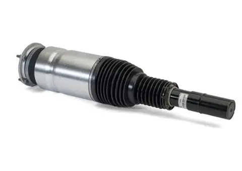 Air Suspension Strut (125AS3069R)