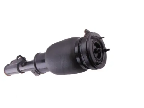 Air Suspension Strut (1250AS2306)