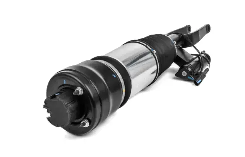 Air Suspension Strut (125AS2294R)