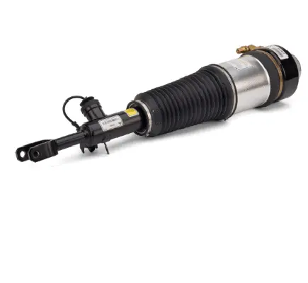 Air Suspension Strut (1160AS2817)