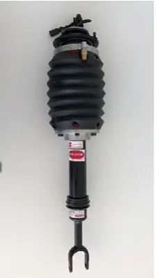 Air Suspension Strut (187AS2560R)