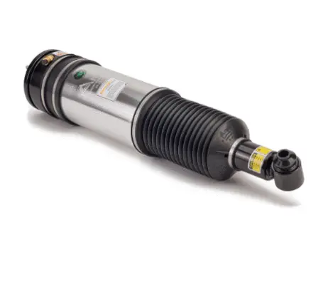 Air Suspension Strut (1160AS2981)