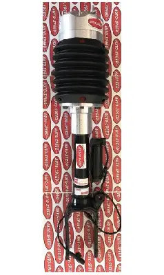 Air Suspension Strut (187AS2394X)