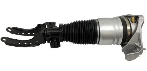 Air Suspension Strut (125AS2572R)