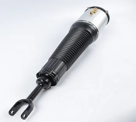 Air Suspension Strut (124AS2560R)