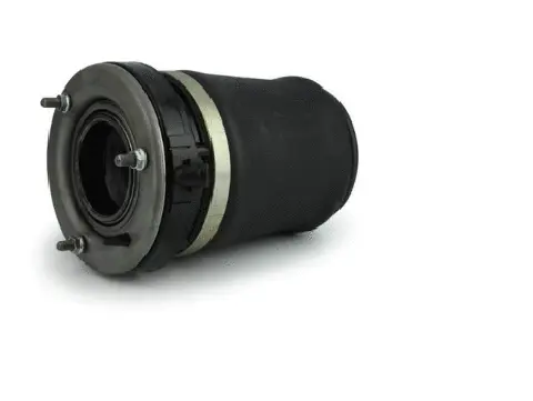 Air Spring, suspension (12500A2862)