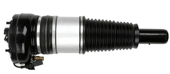 Air Suspension Strut (125AS2864N)
