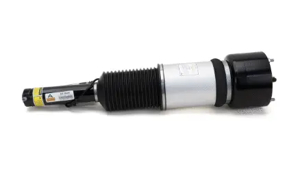 Air Suspension Strut (1160AS2605)