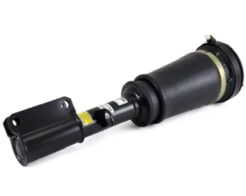Air Suspension Strut (1160AS2306)