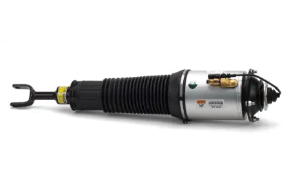 Air Suspension Strut (1160AS2893)