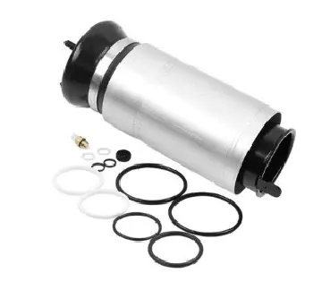 Air Suspension Strut (12500A2809)