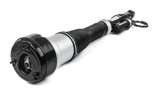 Air Suspension Strut (125AS2603R)