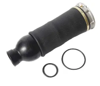 Air Spring, suspension (12500A2869)
