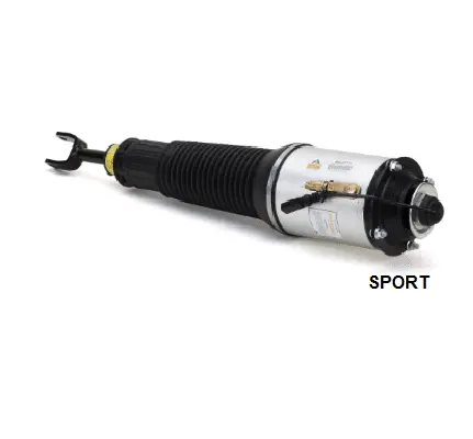 Air Suspension Strut (1160AS2777)