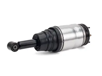Air Suspension Strut (125AS2534R)