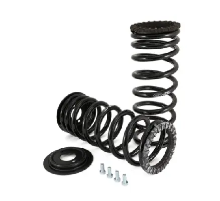 Suspension Kit, springs/shock absorbers (11600C2203)