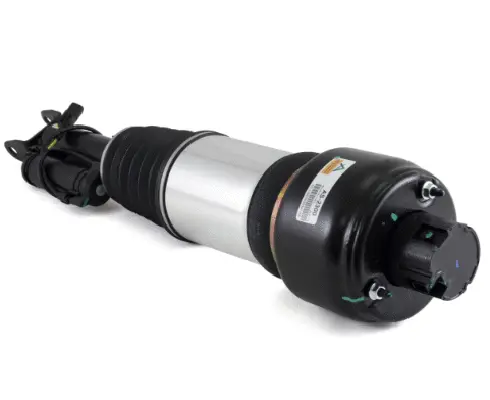 Air Suspension Strut (1160AS2300)