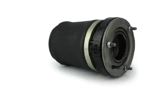 Air Spring, suspension (12500A2861)
