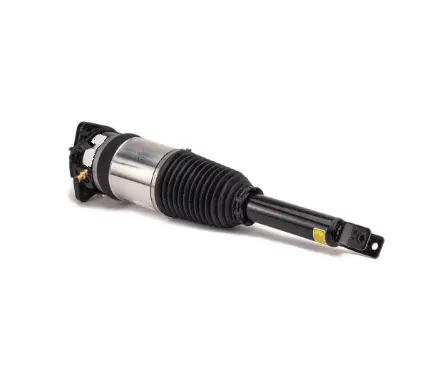 Air Suspension Strut (125AS2969R)