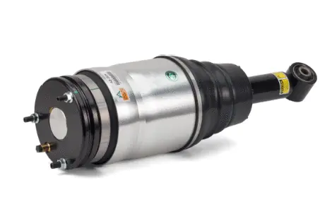 Air Suspension Strut (1160AS2534)