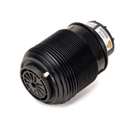 Air Spring, suspension (11600A2790)