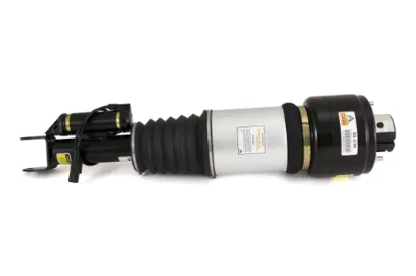 Air Suspension Strut (1160AS2788)