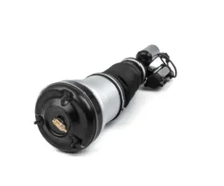 Air Suspension Strut (125AS2272R)