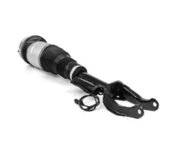 Air Suspension Strut (125AS3060N)