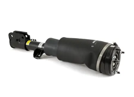 Air Suspension Strut (1160AS2757)