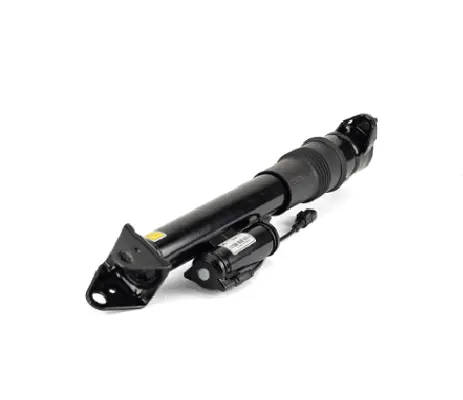 Air Suspension Strut (125SK2867X)