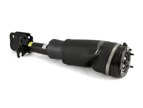 Air Suspension Strut (1160AS2758)