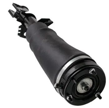 Air Suspension Strut (125AS2961R)