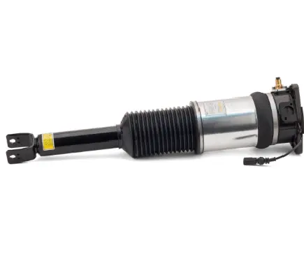 Air Suspension Strut (1160AS2959)