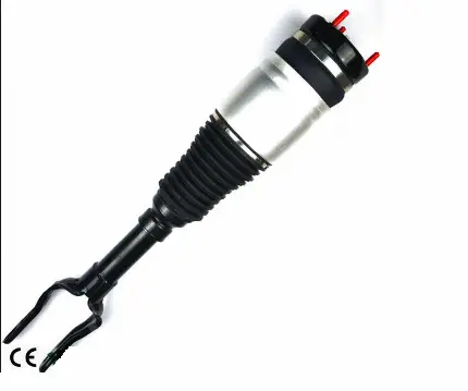 Air Suspension Strut (1250AS8110)